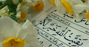 بررسی دلایل قرآنی و روایی و تاریخی مبنی بر امکان زن بودن حضرت ولی عصر (عج)